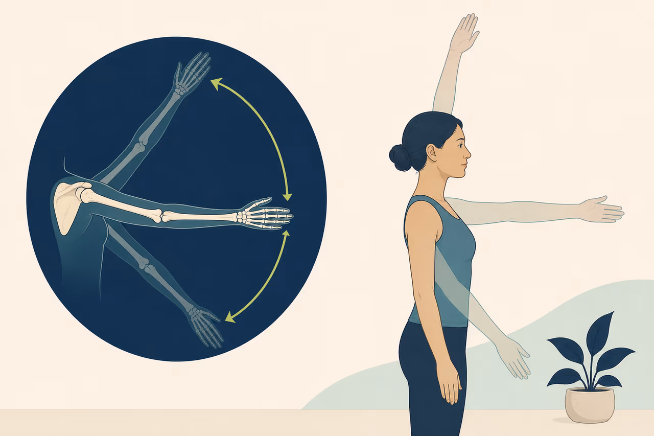 Editorial illustration about what joint range of motion means.